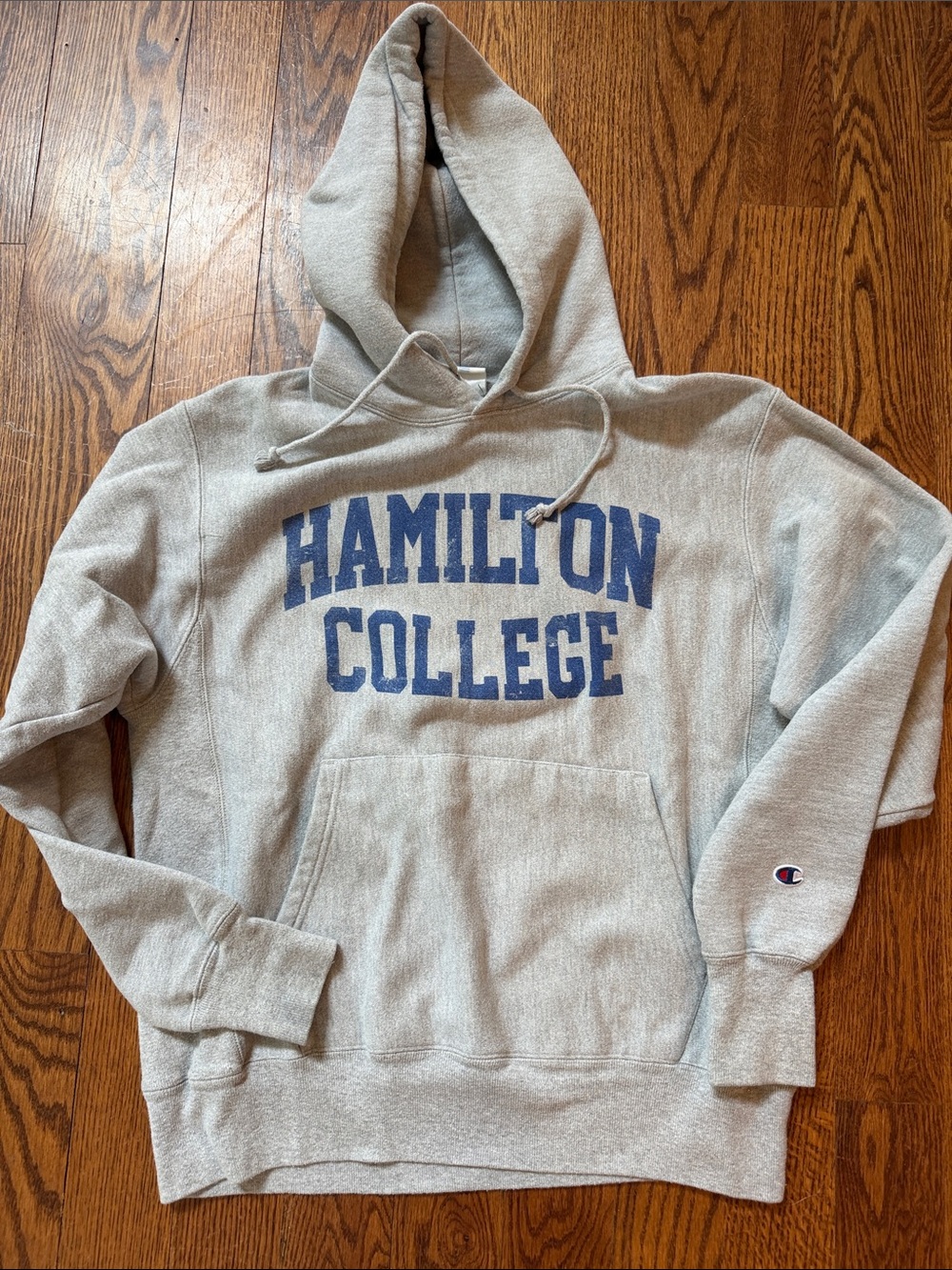 Champion reverse weave  Hamilton College hoodie sweatshirt